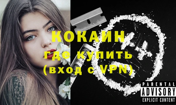 ешки Аркадак