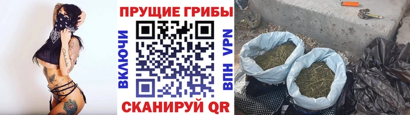 Псилоцибиновые грибы ЛСД  Сухиничи 